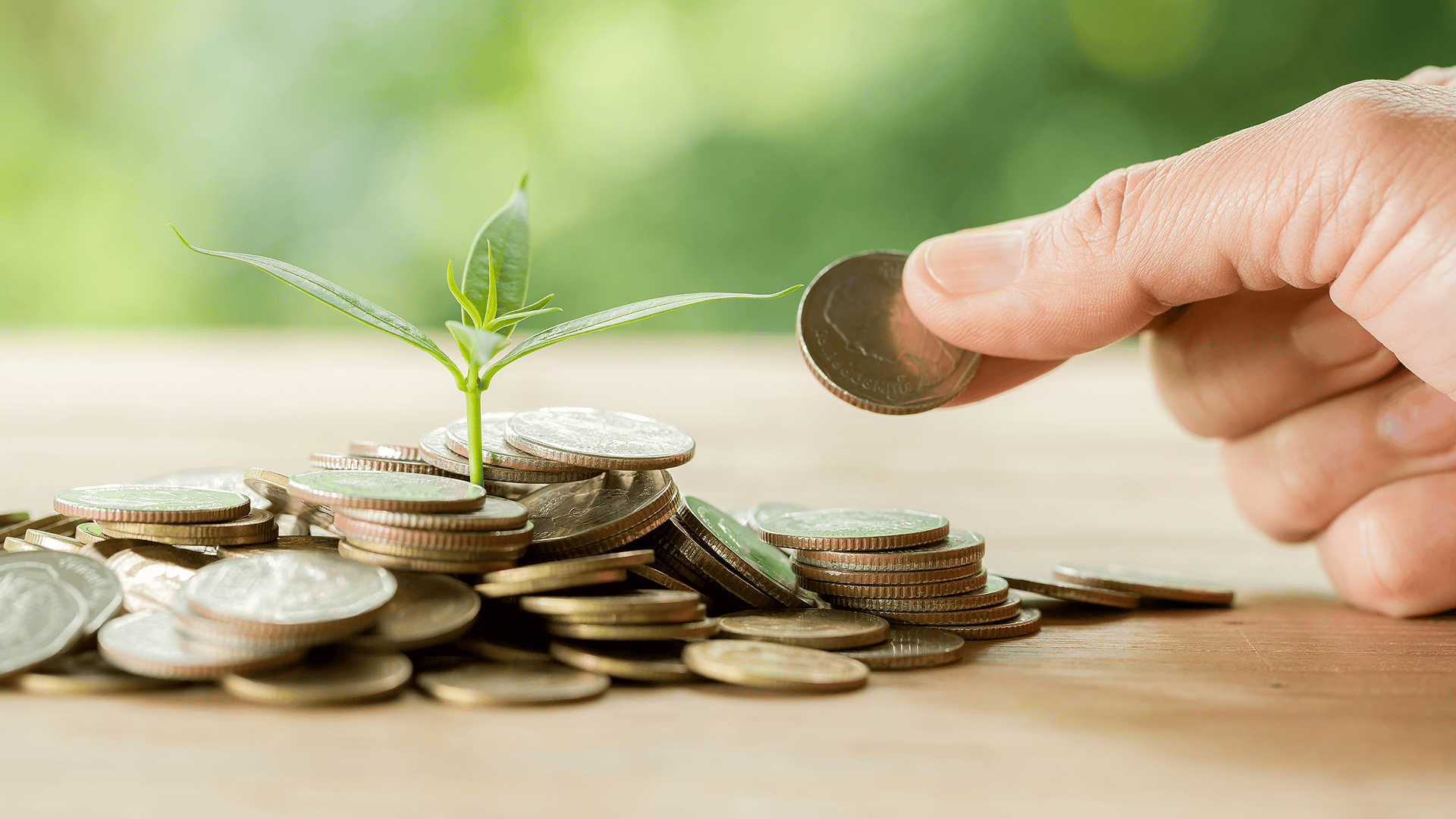 Why Asia Pacific Needs A Stronger Impact Investment Ecosystem